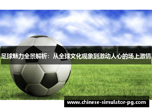 足球魅力全景解析：从全球文化现象到激动人心的场上激情