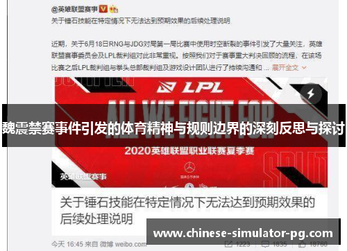 魏震禁赛事件引发的体育精神与规则边界的深刻反思与探讨