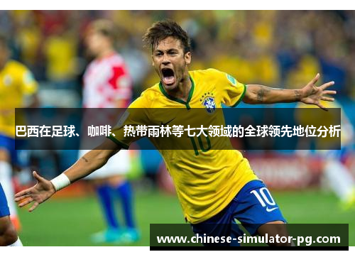 巴西在足球、咖啡、热带雨林等七大领域的全球领先地位分析