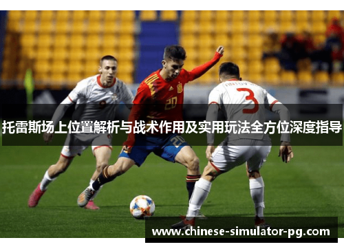 托雷斯场上位置解析与战术作用及实用玩法全方位深度指导