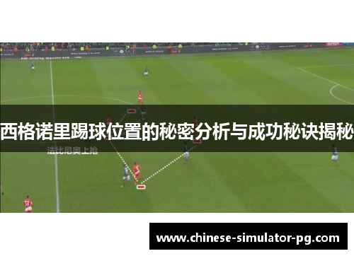 西格诺里踢球位置的秘密分析与成功秘诀揭秘 西格诺里踢球位置的秘密分析与成功秘诀揭秘