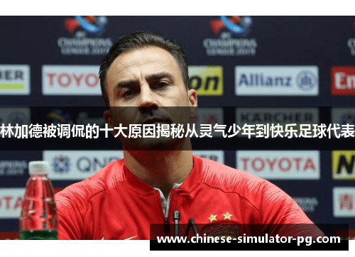 林加德被调侃的十大原因揭秘从灵气少年到快乐足球代表 林加德被调侃的十大原因揭秘从灵气少年到快乐足球代表