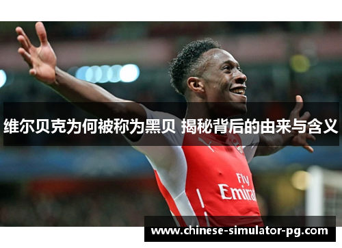 维尔贝克为何被称为黑贝 揭秘背后的由来与含义