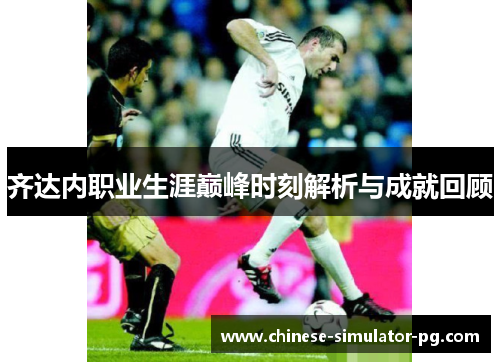 齐达内职业生涯巅峰时刻解析与成就回顾