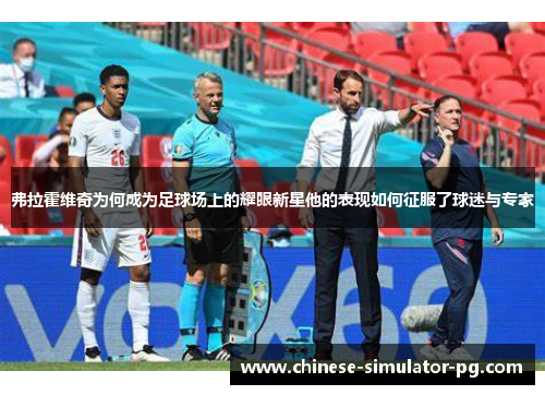 弗拉霍维奇为何成为足球场上的耀眼新星他的表现如何征服了球迷与专家