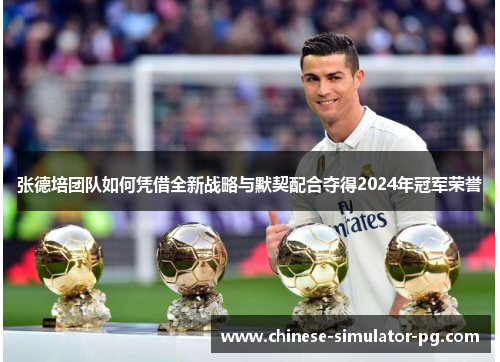 张德培团队如何凭借全新战略与默契配合夺得2024年冠军荣誉 张德培团队如何凭借全新战略与默契配合夺得2024年冠军荣誉