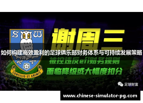 如何构建高效盈利的足球俱乐部财务体系与可持续发展策略